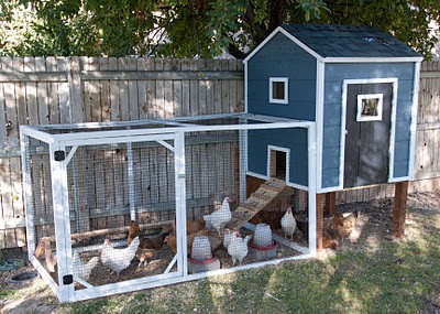 Chicken Coop Finished