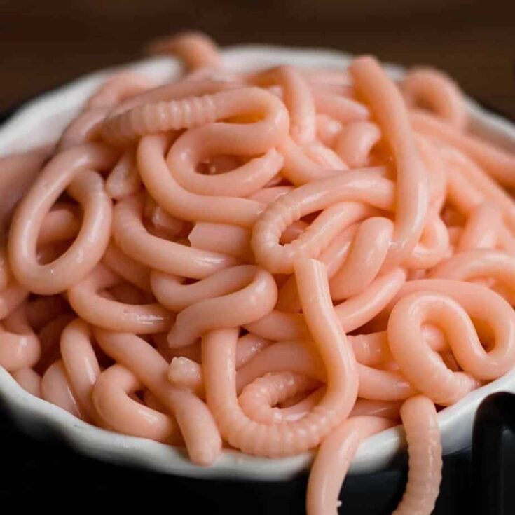 Image for Creepy Edible Worms
