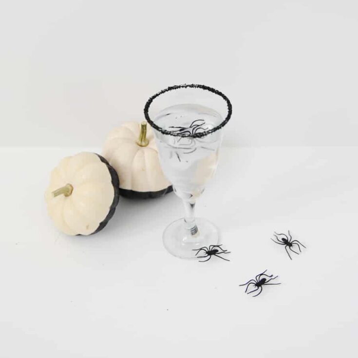 Image for DIY: Spooky Halloween Spider Ice Cubes and Black Sugar Rimmed Glasses