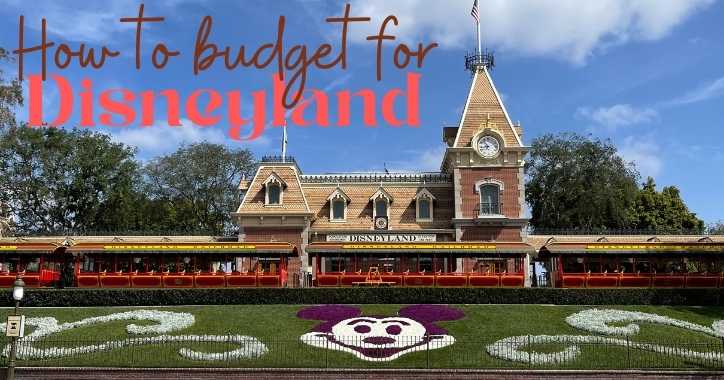 How to budget for Disneyland with Disneyland entrance and train station