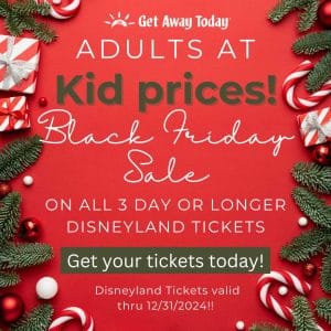 Black Friday Disneyland Ticket Sale - Creative Housewives